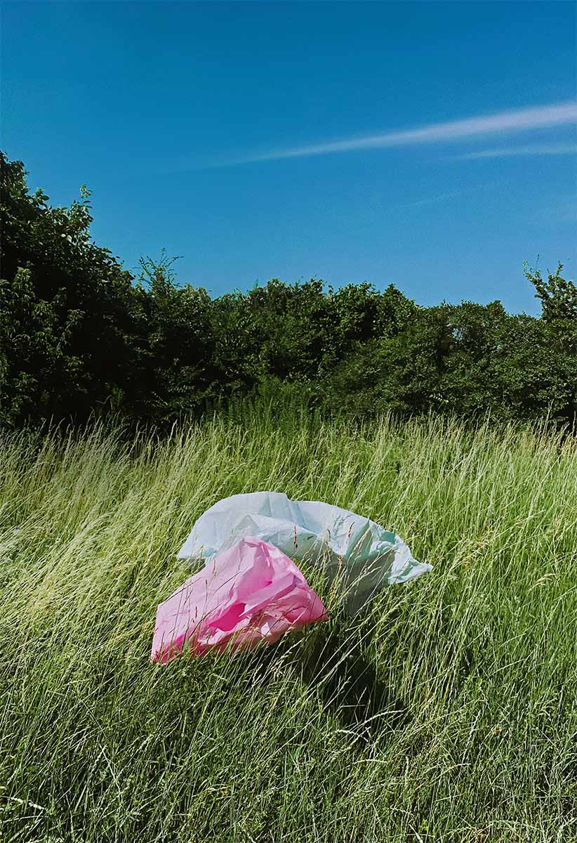 Green field with waste