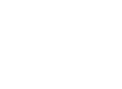 O-Ringe