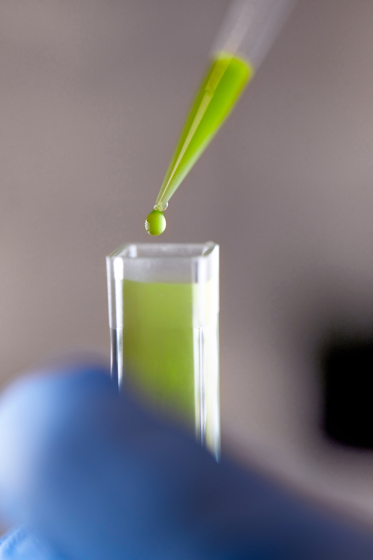 Microalgae such as chlorella can be used in food and personal care products and as a feedstock.