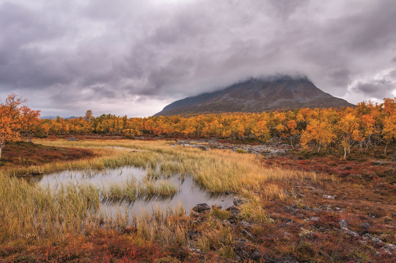 Mein Traumziel „Ruskaretki“ nennen wir eine Herbstreise nach Lappland. Es ist eine friedliche Landschaft mit farbenfroher Natur.