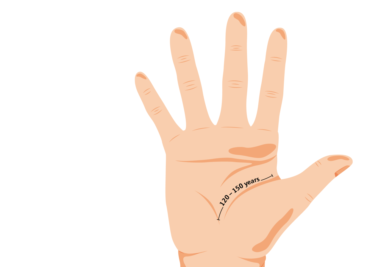 Hand with live lines