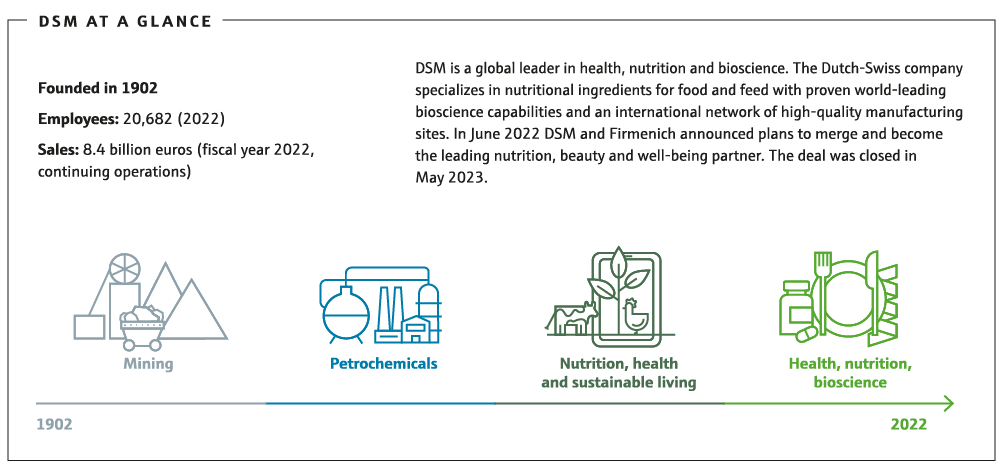 DSM-at-a-glance_box_web_230614.png