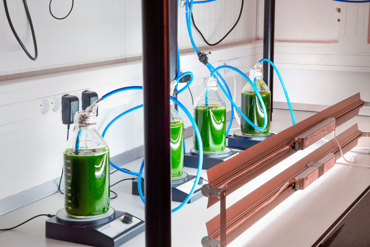 If customers want it, Phyox can produce algae with very specific properties.