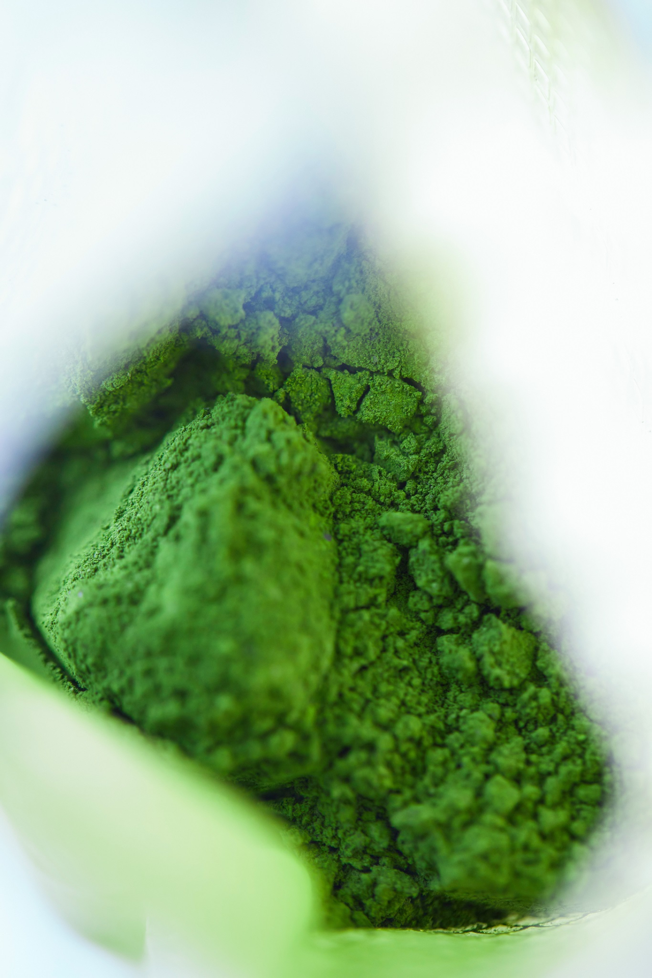 Each production line yields around 20 kilograms of dry algae powder per harvest.