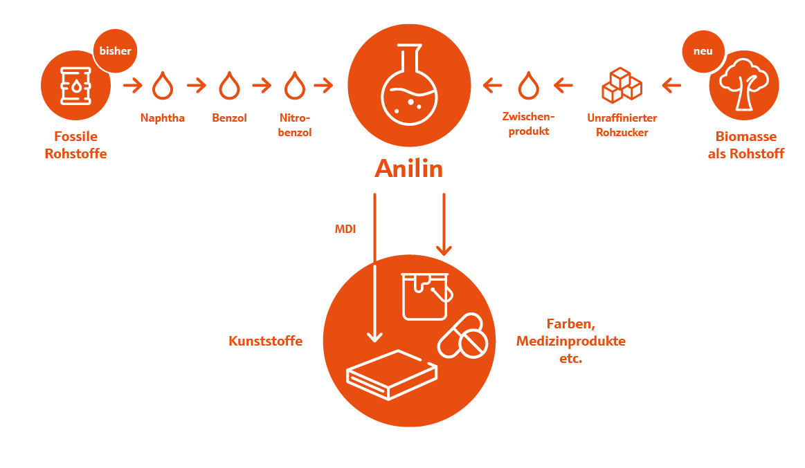 Die Produktion der Basischemikalie Anilin ist ohne den Einsatz von Erdöl oder anderen fossilen Rohstoffen möglich – dank eines Forschungserfolges von Covestro.
